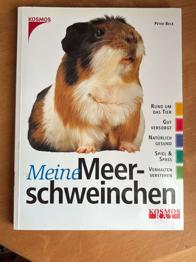 Meine Meerschweinchen