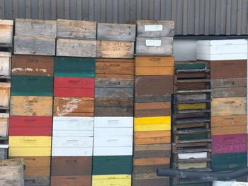 Bienenstock 10Stück