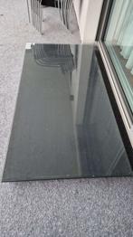 Glasplatte 6mm ESG 1x2m