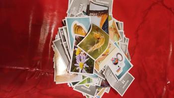 Sticker Billa Wasserwelt