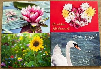 Geschenkskarten Set