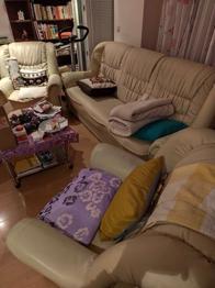 in 2514 Traiskirchen/ Möllersdorf