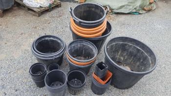 TÖPFE für Pflanzen / Blumen / Bäume rot oder schwarz in verschiedenen Grössen