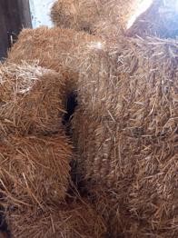(reserviert) Strohballen