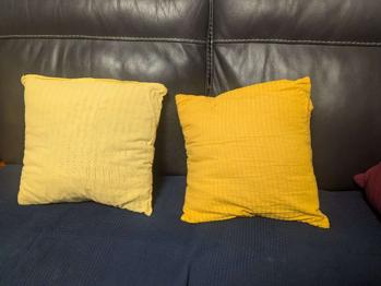 Zierpolster, 2 Stk., inkl. Hülle 40x40cm