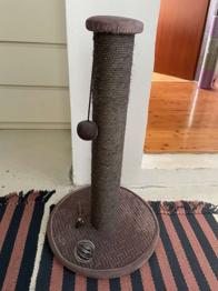 Trixie Kratzbaum 70cm