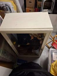 Große Weiße Vitrine