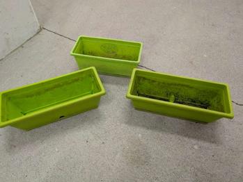 Kleine Blumenkästen