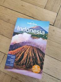 Indonesien Führer Lonely planet