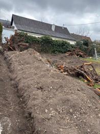 Gartenerde/ Muttererde