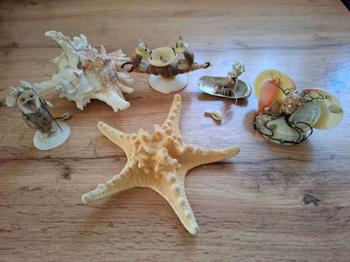 (reserviert) Muscheln + Muschelfiguren, Dekoration, über 20 Stk.