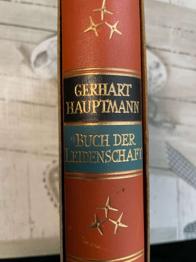 Gerhard Hauptmann, Buch der Leidenschaft von 1929