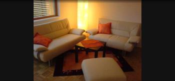 Leder Couch 2 er und 3 er