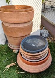 (reserviert) Blumentöpfe zu verschenken