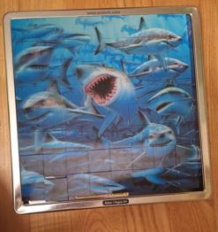 Magnetpuzzle Hai Piatnik