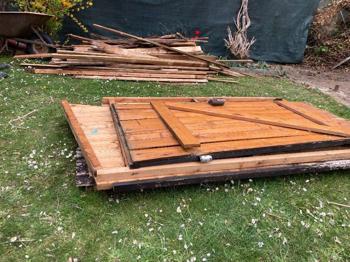 Brennholz zu verschenken bis Freitag dann geht es auf die Deponie