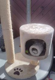 (reserviert) Katzen Kratzbaum