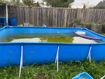 (reserviert) Rechteckiger Aufstellpool ca. 2 x 4 m, 80 cm tief.