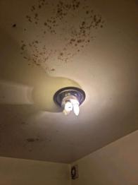 (reserviert) Deckenleuchte