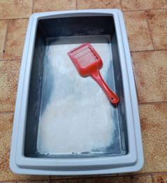 Katzenklo mit Schaufel