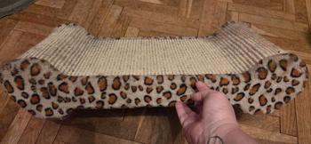 Katzen Liege- und Kratzbrett