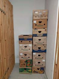 ca 20 Stk. Bananenkartons