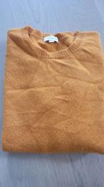 (reserviert) Pullover Katestorm