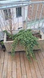 Blumentröge (Waschbeton mit Granit)