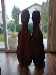 (reserviert) Cellokoffer