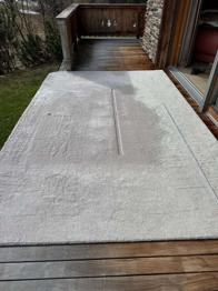 will mosch gewebe teppich limited edition zu verschenken