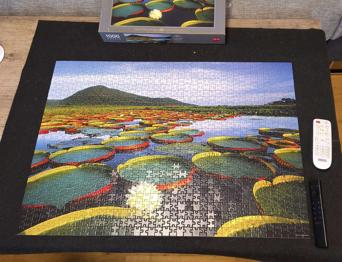 (reserviert) Puzzle 1000 Teile
