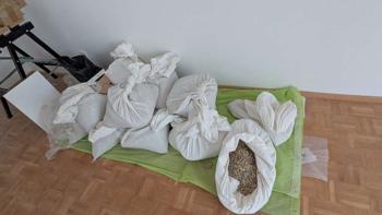 Kies, Kiesel, kleine Steinchen