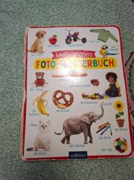 Buch Mein großes Fotowörterbuch