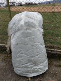 Glas, Stein, Tellwolle