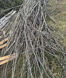 Altholz zu verschenken