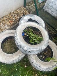 Pflanzentöpfe aus Reifen