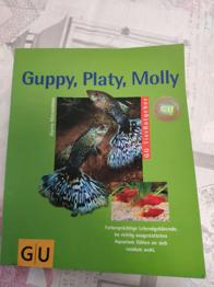 Guppy Platy Molly GU Tierratgeber
