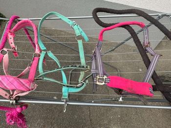 Halfter mit Strick COB