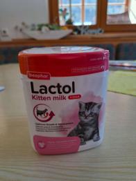 Kitten Milchpulver