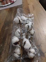 Deko - Baumwoll - Blüte