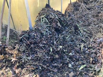 Halbreifer Laubkompost