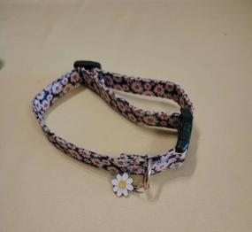 Hundehalsband neuwertig