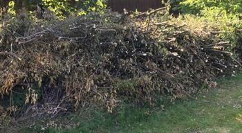 Strauchabschnitte zum Häckseln, für Hochbeete oder sonstiges