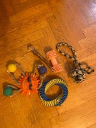 Hundespielzeug