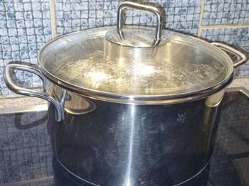 WMF Topf 5 Liter zu verschenken