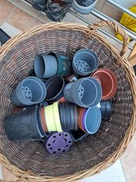 Blumentöpfe, Pflanztöpfe