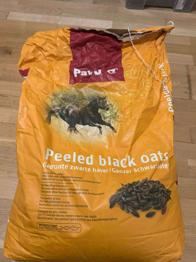 Pavo Schwarzhafer, ca 9kg