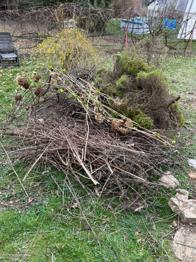 Grünschnitt / Baumschnitt / Grünabfall