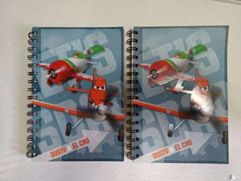 2 x Planes kariertes Heft mit Motiv