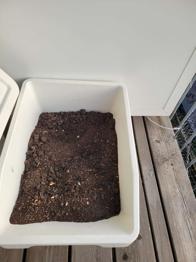 Pflanzenerde zu verschenken bis 23.3.